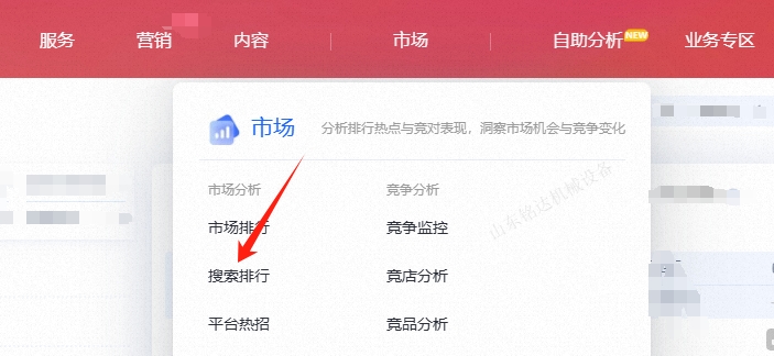 精准挑出关键词